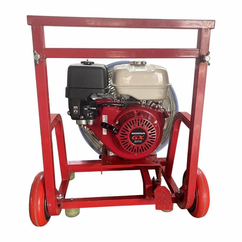 _20240516093019